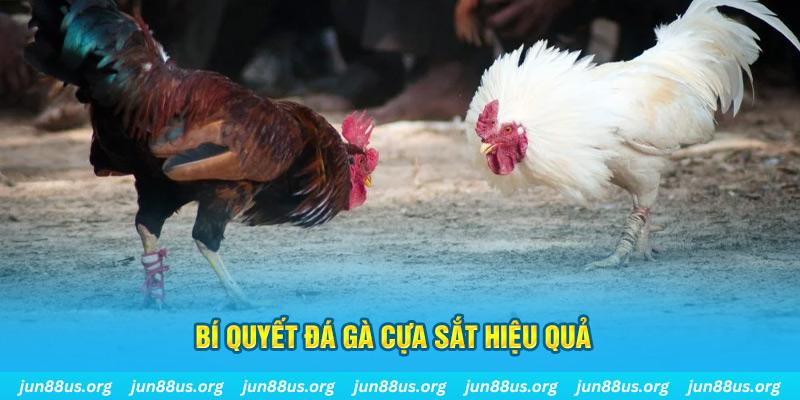 hi 88 xổ số miền bắc thứ ba hàng tuần