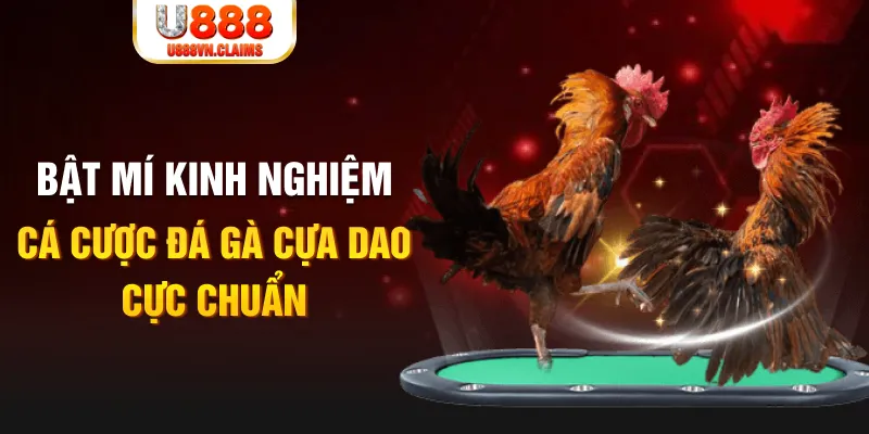 hi 88 casino hồ tràm có cho người việt vào không