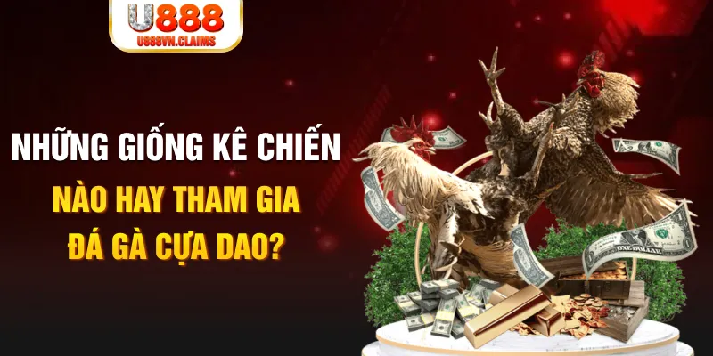 hi 88 BG Trực Tuyến