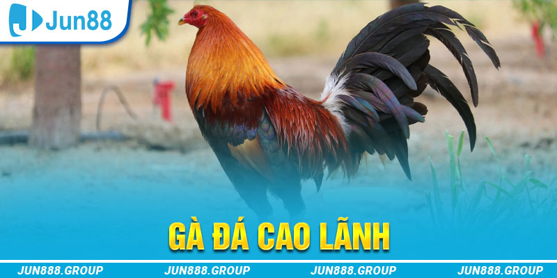 hi 88 tai game vua bai ve may tinh