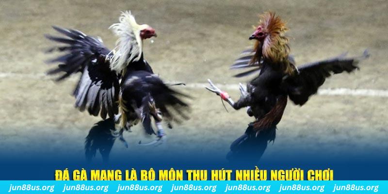 hi 88 đăng nhập sòng bạc số 1