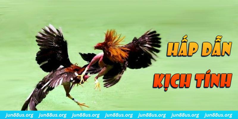 hi 88 xổ số miền nam thứ sáu