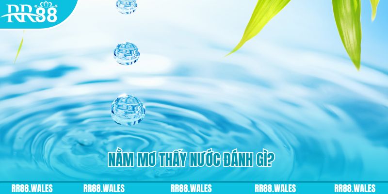 hi 88 xổ số trực tiếp miền bắc