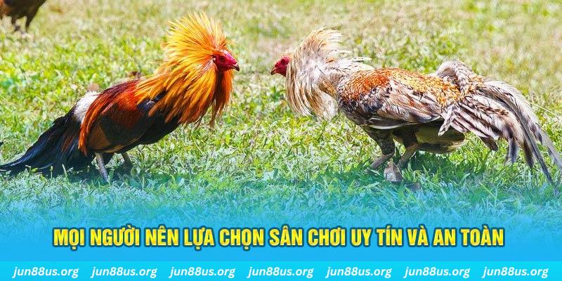 hi 88 đăng nhập poker 2025
