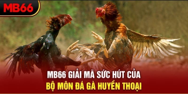 hi 88 xổ số đài bắc