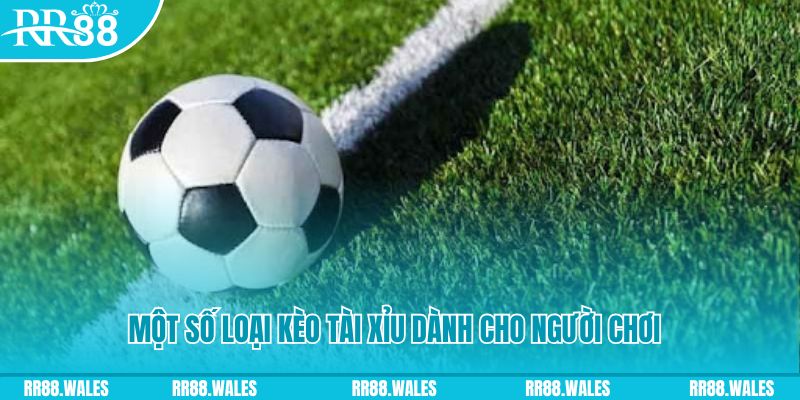 hi 88 slot nghĩa là gì