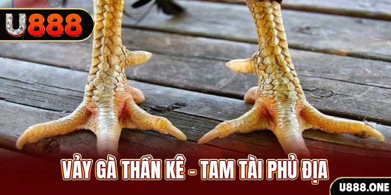 hi 88 so xo mien trung