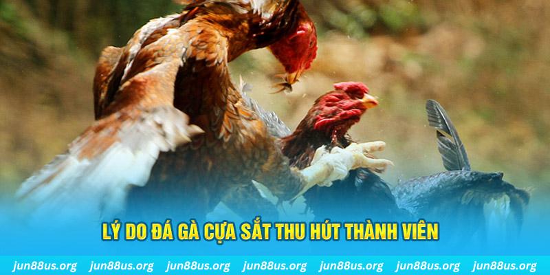 hi 88 nổ hũ ăn bao nhiêu