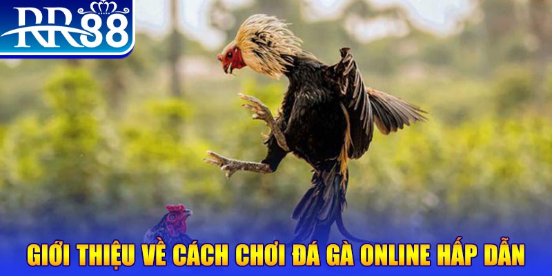 hi 88 EvoPlay Điện Tử