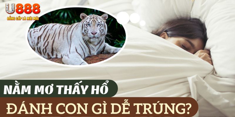hi 88 nohu .mx nổ hủ là gì