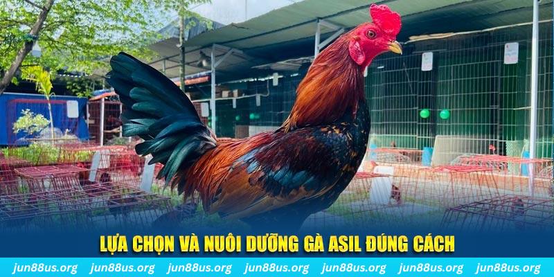 hi 88 nổ hũ thần tài là gì