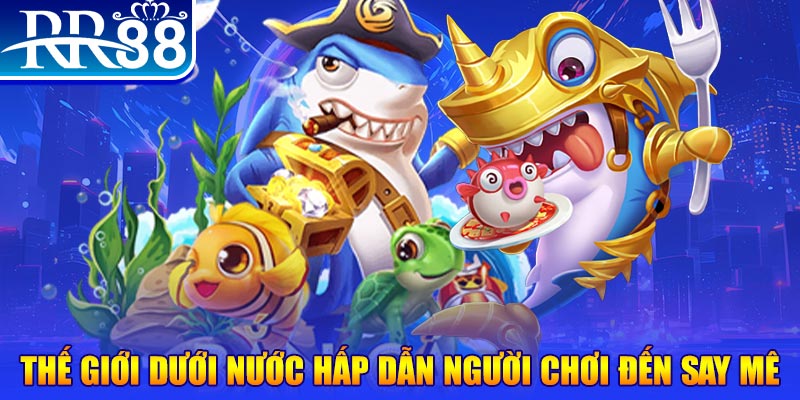 hi 88 đăng nhập mậu binh dễ thắng