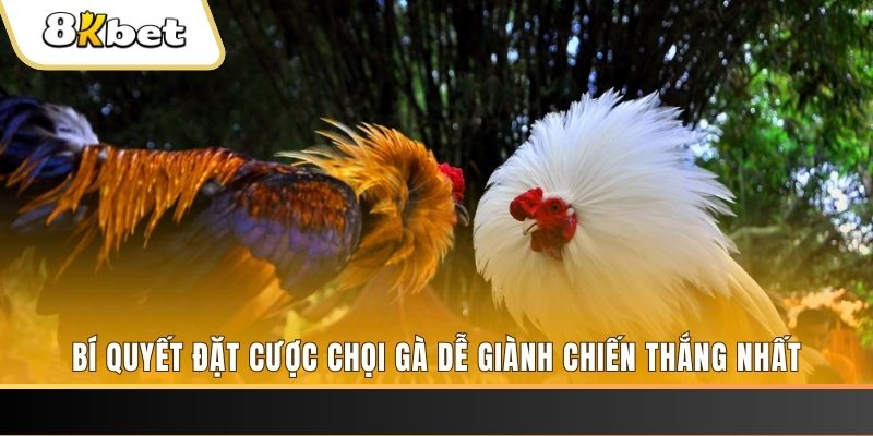 hi 88 nổ hũ chơi như thế nào