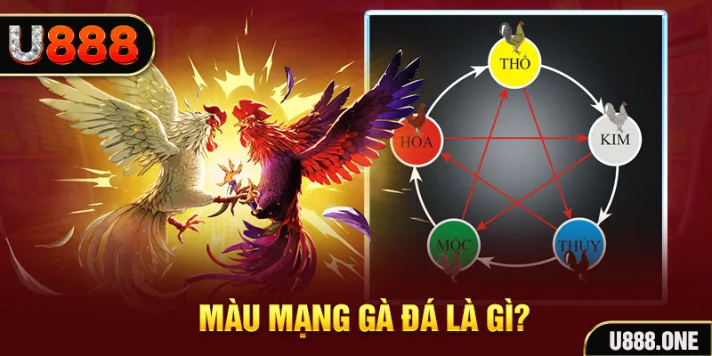 hi 88 V8 Game Bài 3d