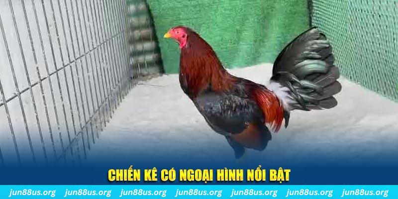 hi 88 qq88 bắn cá