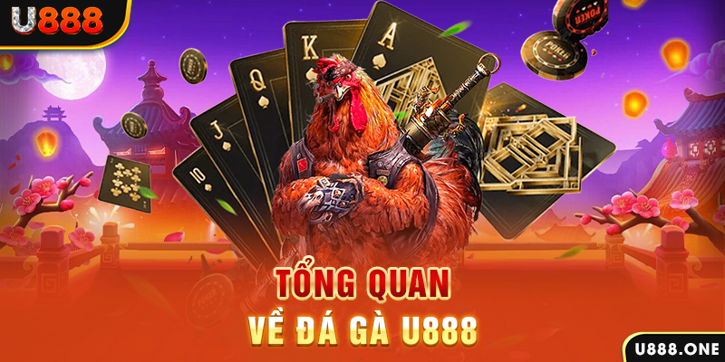 hi 88 xổ số vietlott
