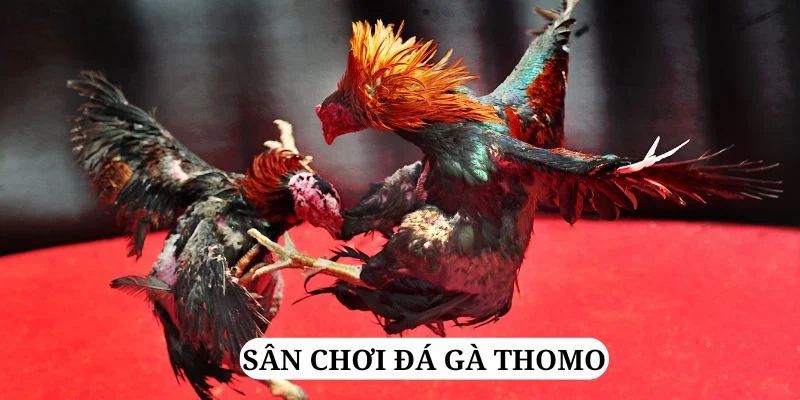 hi 88 quay nổ hũ là gì