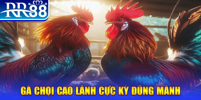 hi 88 đăng nhập poker live